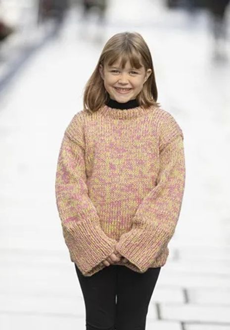 Hovedbilde Katalog 2233-8 Najma genser