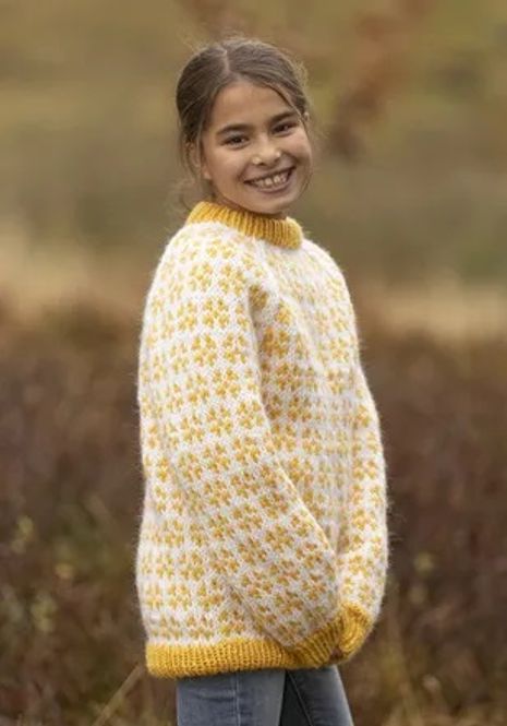 Hovedbilde Katalog 2302-4b Gemini genser 2-12 år